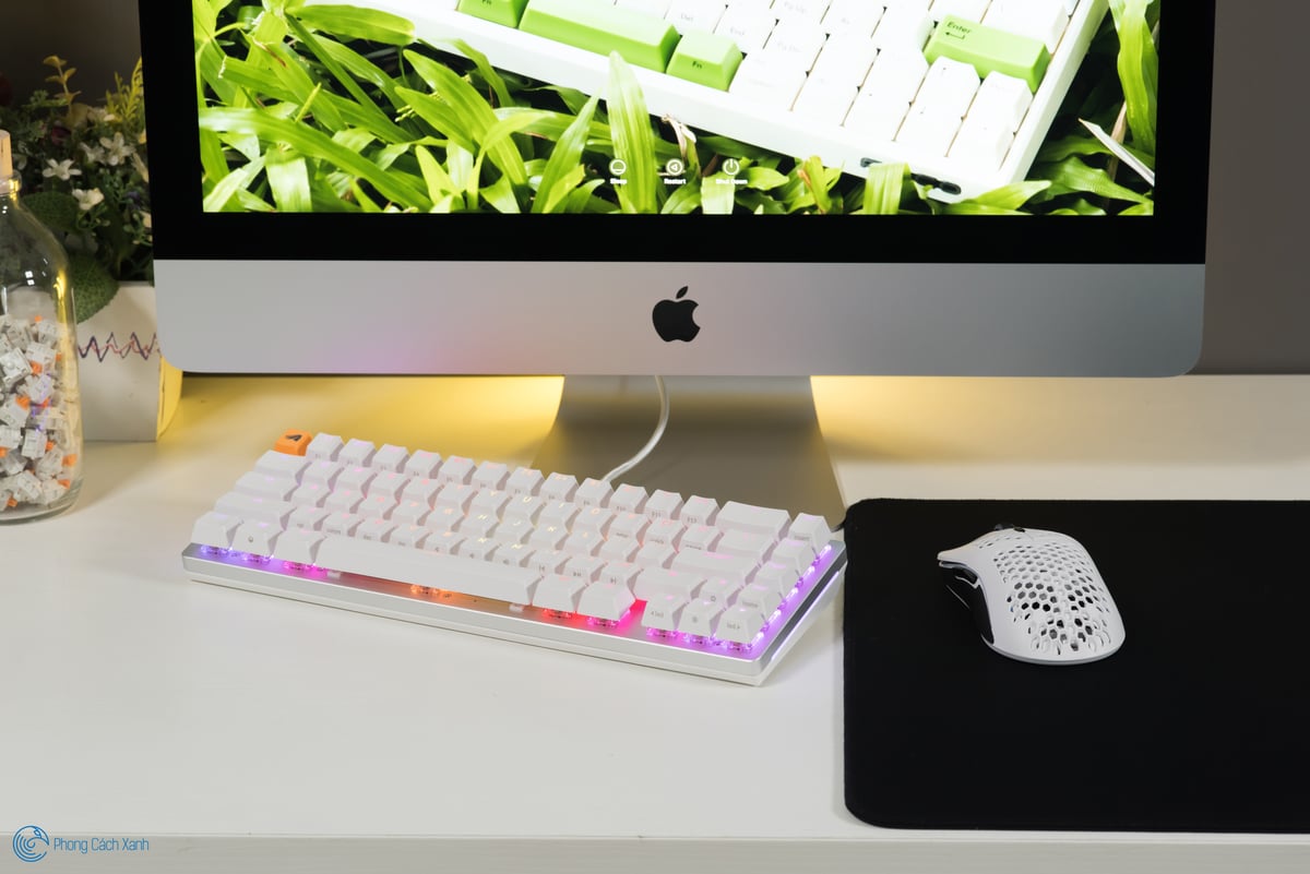 Có nên dùng hai bàn phím cơ riêng biệt cho Làm việc và chơi game