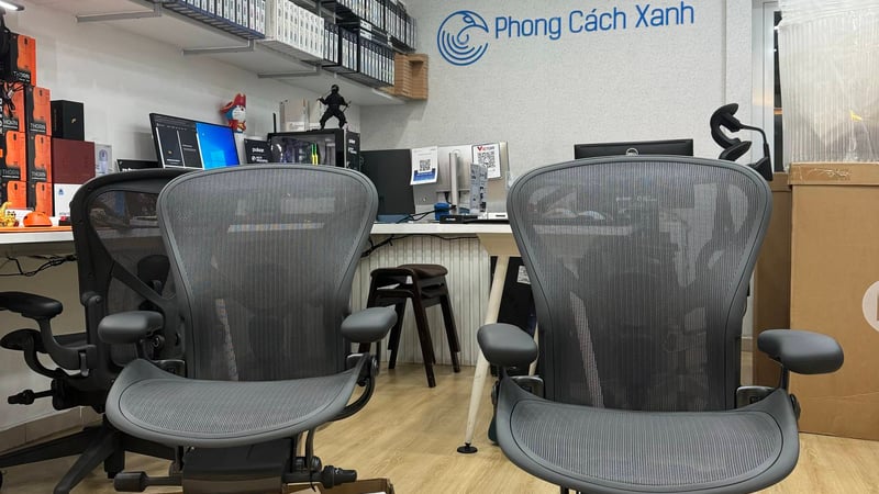 Điều gì khiến Ghế công thái học khác với các ghế gaming và ghế văn phòng thường thấy?