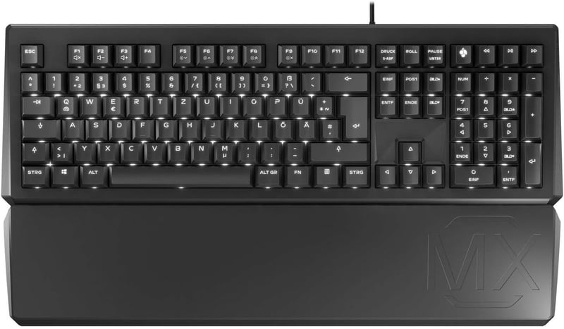 Cherry MX Board 1.0 Backlight G80-3816LXB-2 PC/Mac, Keyboard: Amazon.co.uk: Computers & Accessories