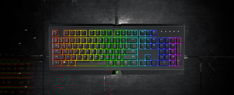 Amazon.com: Razer Cynosa Chroma Gaming Keyboard: 168 Individually ...