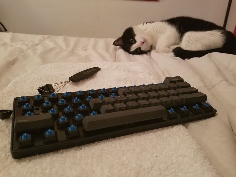 I didn't mean to spill that cup of water on your keyboard